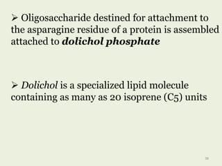  Oligosaccharide destined for attachment to
the asparagine residue of a protein is assembled
attached to dolichol phosphate
 Dolichol is a specialized lipid molecule
containing as many as 20 isoprene (C5) units
38
 