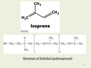 Structure of Dolichol (polyisoprenol)
39
 