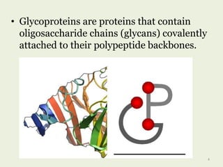• Glycoproteins are proteins that contain
oligosaccharide chains (glycans) covalently
attached to their polypeptide backbones.
4
 