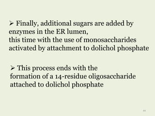  This process ends with the
formation of a 14-residue oligosaccharide
attached to dolichol phosphate
 Finally, additional sugars are added by
enzymes in the ER lumen,
this time with the use of monosaccharides
activated by attachment to dolichol phosphate
44
 