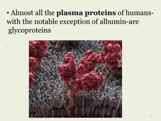 • Almost all the plasma proteins of humans-
with the notable exception of albumin-are
glycoproteins
.
5
 