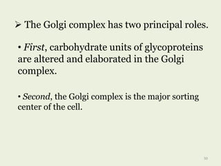  The Golgi complex has two principal roles.
• First, carbohydrate units of glycoproteins
are altered and elaborated in the Golgi
complex.
• Second, the Golgi complex is the major sorting
center of the cell.
50
 