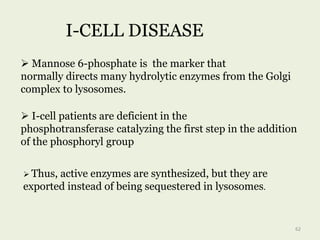  Mannose 6-phosphate is the marker that
normally directs many hydrolytic enzymes from the Golgi
complex to lysosomes.
 I-cell patients are deficient in the
phosphotransferase catalyzing the first step in the addition
of the phosphoryl group
 Thus, active enzymes are synthesized, but they are
exported instead of being sequestered in lysosomes.
I-CELL DISEASE
62
 