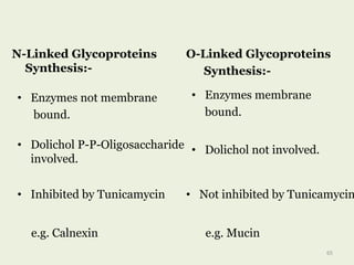 • Dolichol P-P-Oligosaccharide
involved.
• Dolichol not involved.
e.g. Calnexin e.g. Mucin
N-Linked Glycoproteins
Synthesis:-
O-Linked Glycoproteins
Synthesis:-
• Enzymes not membrane
bound.
• Inhibited by Tunicamycin
• Enzymes membrane
bound.
• Not inhibited by Tunicamycin
65
 