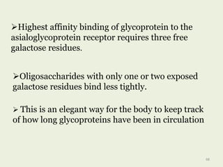 Highest affinity binding of glycoprotein to the
asialoglycoprotein receptor requires three free
galactose residues.
Oligosaccharides with only one or two exposed
galactose residues bind less tightly.
 This is an elegant way for the body to keep track
of how long glycoproteins have been in circulation
68
 