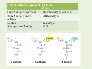 Only A antigen is present A blood
type.
Only B antigen is present their blood type will be B.
Both A antigen and B
antigen
AB blood type
Neither
A antigen nor B antigen
blood type
is O.
80
 