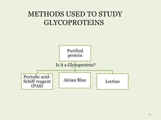 METHODS USED TO STUDY
GLYCOPROTEINS
Purified
protein
Periodic acid-
Schiff reagent
(PAS)
Alcian Blue Lectins
81
Is it a Glycoprotein?
 