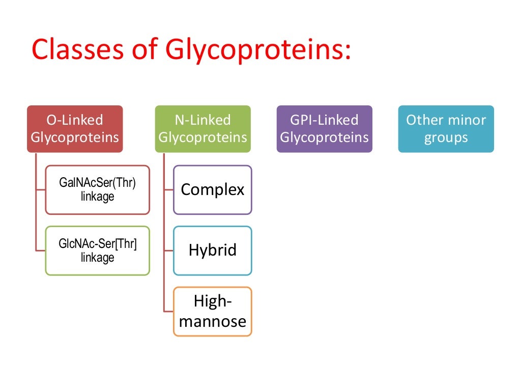 Glycoproteins