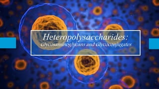 Heteropolysaccharides:
Glycosaminoglycans and Glycoconjugates
 