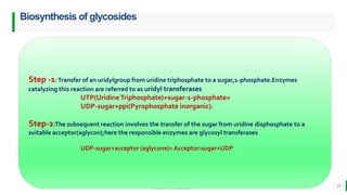 BEST FOR You
O R G A N I C S C O M P A N Y
Biosynthesis of glycosides
19
Step -1:Transfer of an uridylgroup from uridine triphosphate to a sugar,1-phosphate.Enzymes
catalyzing this reaction are referred to as uridyl transferases
UTP(UridineTriphosphate)+sugar-1-phosphate=
UDP-sugar+ppi(Pyrophosphate inorganic).
Step-2:The subsequent reaction involves the transfer of the sugar from uridine disphosphate to a
suitable acceptor(aglycon);here the responsible enzymes are glycosyl transferases
UDP-sugar+acceptor (aglycone)= Acceptor-sugar+UDP
 