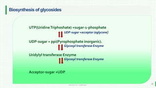BEST FOR You
O R G A N I C S C O M P A N Y
Biosynthesis of glycosides
20
UTP(UridineTriphoshate) +sugar-1-phosphate
UDP-sugar +acceptor (aglycone)
UDP-sugar + ppi(Pyrophosphate inorganic).
Glycosyl transferase Enzyme
Uridylyl transferase Enzyme
Glycosyl transferase Enzyme
Acceptor-sugar +UDP
 