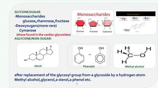 GLYCONE/SUGAR:
-Monosaccharides
glucose,rhamnose,fructose
-Deoxysugars(more rare)
Cymarose
(those found in the cardiac glycosides)
AGLYCONE/NON-SUGAR:
after replacement of the glycosyl group from a glycoside by a hydrogen atom
Methyl alcohol,glycerol,a sterol,a phenol etc.
/SUGAR:-:-
sterol Phenolol Methyl alcohol
 
