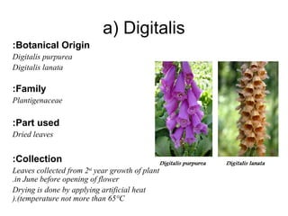Chemistry:
Four aglycons in Digitalis
Digitoxigenin
Gitoxigenin
Gitatoxigenin
Digoxigenin (only in Digitalis lanata(
 