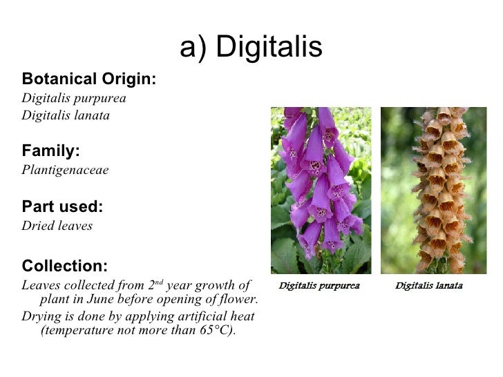 Pharmacognosy Lecture No.1