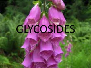 GlycosidesGLYCOSIDES
 
