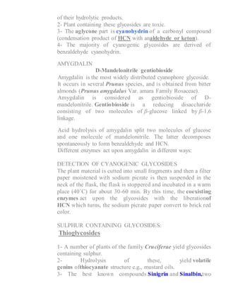 of their hydrolytic products.
2- Plant containing these glycosides are toxic.
3- The aglycone part is cyanohydrin of a carbonyl compound
(condensation product of HCN with analdehyde or keton).
4- The majority of cyanogenic glycosides are derived of
benzaldehyde cyanohydrin.
AMYGDALIN
D-Mandelonitrile gentiobioside
1- Amygdalin is the most widely distributed cyanophore glycoside.
2- It occurs in several Prunus species, and is obtained from bitter
almonds (Prunus amygdalus Var. amara Family Rosaceae).
3- Amygdalin is considered as gentiobioside of D-
mandelonitrile. Gentiobioside is a reducing disaccharide
consisting of two molecules of β-glucose linked by β-1,6
linkage.
4- Acid hydrolysis of amygdalin split two molecules of glucose
and one molecule of mandelonitrile. The latter decomposes
spontaneously to form benzaldehyde and HCN.
5- Different enzymes act upon amygdalin in different ways:
DETECTION OF CYANOGENIC GLYCOSIDES
The plant material is cutted into small fragments and then a filter
paper moistened with sodium picrate is then suspended in the
neck of the flask, the flask is stoppered and incubated in a warm
place (40˚C) for about 30-60 min. By this time, the coexisting
enzymes act upon the glycosides with the liberationof
HCN which turns, the sodium picrate paper convert to brick red
color.
SULPHUR CONTAINING GLYCOSIDES:
Thioglycosides
1- A number of plants of the family Cruciferae yield glycosides
containing sulphur.
2- Hydrolysis of these, yield volatile
genins ofthiocyanate structure e.g., mustard oils.
3- The best known compounds Sinigrin and Sinalbin,two
 