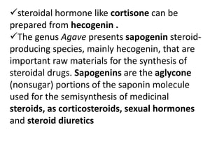 steroidal hormone like cortisone can be
prepared from hecogenin .
The genus Agave presents sapogenin steroid-
producing species, mainly hecogenin, that are
important raw materials for the synthesis of
steroidal drugs. Sapogenins are the aglycone
(nonsugar) portions of the saponin molecule
used for the semisynthesis of medicinal
steroids, as corticosteroids, sexual hormones
and steroid diuretics
 