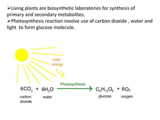 Living plants are biosynthetic laboratories for synthesis of
primary and secondary metabolites.
Photosynthesis reaction involve use of carbon dioxide , water and
light to form glucose molecule.
 