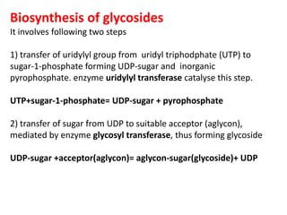 Biosynthesis of glycosides
It involves following two steps
1) transfer of uridylyl group from uridyl triphodphate (UTP) to
sugar-1-phosphate forming UDP-sugar and inorganic
pyrophosphate. enzyme uridylyl transferase catalyse this step.
UTP+sugar-1-phosphate= UDP-sugar + pyrophosphate
2) transfer of sugar from UDP to suitable acceptor (aglycon),
mediated by enzyme glycosyl transferase, thus forming glycoside
UDP-sugar +acceptor(aglycon)= aglycon-sugar(glycoside)+ UDP
 