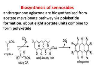 Biosynthesis of sennosides
anthraqunone aglycone are biosynthesised from
acetate mevalonate pathway via polyketide
formation. about eight acetate units combine to
form polyketide
 