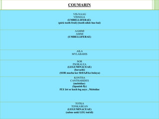 COUMARIN
VIS-NAAG
VISNEGA
(UMBELLIFERAE)
(pick tooth fruit) (tooth nikle hue hai)
AAMMI
AMMI
(UMBELLIFERAE)
AILA
MYLABARIS
SOR
PSORALEA
(LEGUMINACEAE)
(bavachi)
(SOR macha ker BAVAJI ko bulaya)
KONTHA
CANTHARIDES
(meloidae)
(Spanish fly)
FLYJet se kuch log aaye , Meloidae
TOTKA
TONKABEAN
(LEGUMINACEAE)
(sabne unki LEG tod di)
 