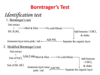 Borntrager’s Test
 