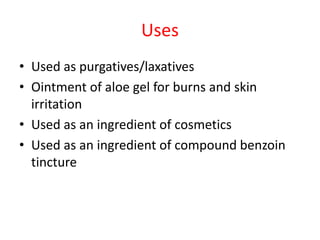 Uses
• Used as purgatives/laxatives
• Ointment of aloe gel for burns and skin
irritation
• Used as an ingredient of cosmetics
• Used as an ingredient of compound benzoin
tincture
 