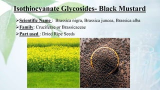 Isothiocyanate Glycosides- Black Mustard
Scientific Name : Brassica nigra, Brassica juncea, Brassica alba
Family: Cruciferae or Brassicaceae
Part used : Dried Ripe Seeds
 