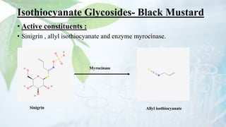 Isothiocyanate Glycosides- Black Mustard
• Active constituents :
• Sinigrin , allyl isothiocyanate and enzyme myrocinase.
Sinigrin Allyl isothiocyanate
Myrocinase
 
