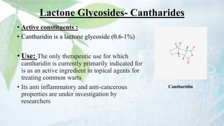 Lactone Glycosides- Cantharides
• Active constituents :
• Cantharidin is a lactone glycoside (0.6-1%)
• Use: The only therapeutic use for which
cantharidin is currently primarily indicated for
is as an active ingredient in topical agents for
treating common warts
• Its anti inflammatory and anti-cancerous
properties are under investigation by
researchers
Cantharidin
 