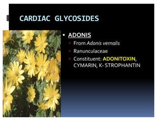 Adonitoxin Glycosides - Pharmacognosy & Plant Chemistry | PDF
