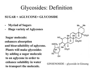 Glycosides: Definition
SUGAR + AGLYCONE= GLYCOSIDE

- Myriad of Sugars
- Huge variety of Aglycones

 Sugar molecule:
enhances absorption
and bioavailability of aglycone.
 Plants will make glycosides
 by adding a sugar molecule
 to an aglycone in order to
 enhance solubility in water     GINSENOSIDE – glycoside in Ginseng
 to transport the molecule.
 