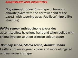 ADULTERANTS AND SUBSTITUTES
Dog senna (c. obovata)- shape of leaves is
obovate(ovate with the narrower end at the
base.) with tapering apex. Papillose( nipple-like
structure)
Palthe senna- anthraquinone glycosides
absent.Leaflets have long hairs and when boiled with
chloral hydrate solution crimson colour occurs.
Bombay senna, Mecca senna, Arabian senna
Leaflets brownish green colour and more elongated
and narrower in shape.
 