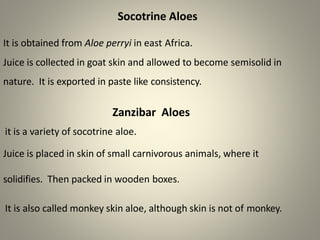 Socotrine Aloes
It is obtained from Aloe perryi in east Africa.
Juice is collected in goat skin and allowed to become semisolid in
nature. It is exported in paste like consistency.
Zanzibar Aloes
it is a variety of socotrine aloe.
Juice is placed in skin of small carnivorous animals, where it
solidifies. Then packed in wooden boxes.
It is also called monkey skin aloe, although skin is not of monkey.
 