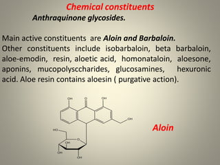 Chemical constituents
Anthraquinone glycosides.
Main active constituents are Aloin and Barbaloin.
Other constituents include isobarbaloin, beta barbaloin,
aloe-emodin, resin, aloetic acid, homonataloin, aloesone,
aponins, mucopolysccharides, glucosamines, hexuronic
acid. Aloe resin contains aloesin ( purgative action).
Aloin
 
