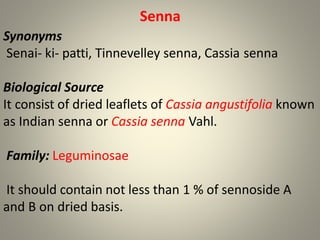 Senna
Synonyms
Senai- ki- patti, Tinnevelley senna, Cassia senna
Biological Source
It consist of dried leaflets of Cassia angustifolia known
as Indian senna or Cassia senna Vahl.
Family: Leguminosae
It should contain not less than 1 % of sennoside A
and B on dried basis.
 