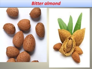 Bitter almond
 