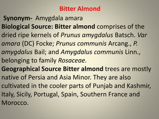 Bitter Almond
Synonym- Amygdala amara
Biological Source: Bitter almond comprises of the
dried ripe kernels of Prunus amygdalus Batsch. Var
amara (DC) Focke; Prunus communis Arcang., P.
amygdalus Bail; and Amygdalus communis Linn.,
belonging to family Rosaceae.
Geographical Source Bitter almond trees are mostly
native of Persia and Asia Minor. They are also
cultivated in the cooler parts of Punjab and Kashmir,
Italy, Sicily, Portugal, Spain, Southern France and
Morocco.
 