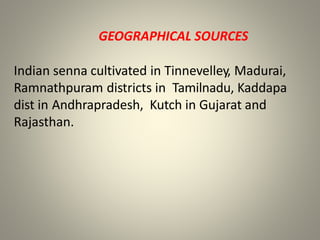GEOGRAPHICAL SOURCES
Indian senna cultivated in Tinnevelley, Madurai,
Ramnathpuram districts in Tamilnadu, Kaddapa
dist in Andhrapradesh, Kutch in Gujarat and
Rajasthan.
 