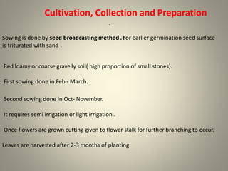Cultivation, Collection and Preparation
.
Sowing is done by seed broadcasting method .For earlier germination seed surface
is triturated with sand .
Red loamy or coarse gravelly soil( high proportion of small stones).
First sowing done in Feb - March.
Second sowing done in Oct- November.
It requires semi irrigation or light irrigation..
Once flowers are grown cutting given to flower stalk for further branching to occur.
Leaves are harvested after 2-3 months of planting.
 