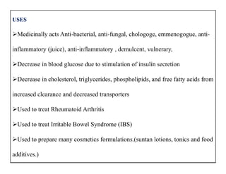 USES
Medicinally acts Anti-bacterial, anti-fungal, chologoge, emmenogogue, anti-
inflammatory (juice), anti-inflammatory , demulcent, vulnerary,
Decrease in blood glucose due to stimulation of insulin secretion
Decrease in cholesterol, triglycerides, phospholipids, and free fatty acids from
increased clearance and decreased transporters
Used to treat Rheumatoid Arthritis
Used to treat Irritable Bowel Syndrome (IBS)
Used to prepare many cosmetics formulations.(suntan lotions, tonics and food
additives.)
USES
Medicinally acts Anti-bacterial, anti-fungal, chologoge, emmenogogue, anti-
inflammatory (juice), anti-inflammatory , demulcent, vulnerary,
Decrease in blood glucose due to stimulation of insulin secretion
Decrease in cholesterol, triglycerides, phospholipids, and free fatty acids from
increased clearance and decreased transporters
Used to treat Rheumatoid Arthritis
Used to treat Irritable Bowel Syndrome (IBS)
Used to prepare many cosmetics formulations.(suntan lotions, tonics and food
additives.)
 