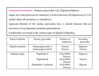 Chemical constituents : Purpurea glycosides A,B ,Digitoxin,Digoxin.
sugars are 6-deoxyhexoses (L-ramnose), 2,6-deoxyhexoses (D-digitoxose) or 3-O-
methyl ethers (D-cymarose, L-oleandrose).
Aglycons (henins) of the cardiac glycosides have a steroid structure that are
derivatives of cyclopentane perhydro-phenanthrene.
Cardenolides are found in the various types of digitalis (Digitalis),
Kind of digitalis Primary glycosides Products of
hydrolysis
Secondary
glycosides
Kind of digitalis Primary glycosides Products of
hydrolysis
Secondary
glycosides
Digitalis purpurea Purpureaglycoside А
Purpureaglycoside В
Glucose
Glucose
Digitoxin
Gitoxin
Digitalis lanata Digilanide А
Digilanide В
Digilanide С (celanide)
СН3СООН+
Glucose
СН3СООН+
Glucose
СН3СООН+
Glucose
Digitoxin
Gitoxin
DIgoxin
 
