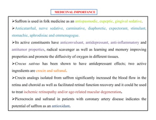 Saffron is used in folk medicine as an antispasmodic, eupeptic, gingival sedative.
Anticatarrhal, nerve sedative, carminative, diaphoretic, expectorant, stimulant,
stomachic, aphrodisiac and emmenagogue.
Its active constituents have anticonvulsant, antidepressant, anti-inflammatory and
antitumor properties, radical scavenger as well as learning and memory improving
properties and promote the diffusivity of oxygen in different tissues.
Crocus sativus has been shown to have antidepressant effects; two active
ingredients are crocin and safranal.
Crocin analogs isolated from saffron significantly increased the blood flow in the
retina and choroid as well as facilitated retinal function recovery and it could be used
to treat ischemic retinopathy and/or age-related macular degeneration.
Picrocrocin and safranal in patients with coronary artery disease indicates the
potential of saffron as an antioxidant.
MEDICINAL IMPORTANCE
Saffron is used in folk medicine as an antispasmodic, eupeptic, gingival sedative.
Anticatarrhal, nerve sedative, carminative, diaphoretic, expectorant, stimulant,
stomachic, aphrodisiac and emmenagogue.
Its active constituents have anticonvulsant, antidepressant, anti-inflammatory and
antitumor properties, radical scavenger as well as learning and memory improving
properties and promote the diffusivity of oxygen in different tissues.
Crocus sativus has been shown to have antidepressant effects; two active
ingredients are crocin and safranal.
Crocin analogs isolated from saffron significantly increased the blood flow in the
retina and choroid as well as facilitated retinal function recovery and it could be used
to treat ischemic retinopathy and/or age-related macular degeneration.
Picrocrocin and safranal in patients with coronary artery disease indicates the
potential of saffron as an antioxidant.
 
