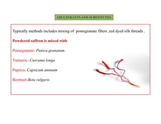 ADULTERANTS AND SUBSTITUTES
Typically methods includes mixing of pomegranate fibers ,red dyed silk threads .
Powdered saffron is mixed with
Pomegranate- Punica granatum.
Turmeric- Curcuma longa
Paprica- Capsicum annuum
Beetroot-Beta vulgaris
Typically methods includes mixing of pomegranate fibers ,red dyed silk threads .
Powdered saffron is mixed with
Pomegranate- Punica granatum.
Turmeric- Curcuma longa
Paprica- Capsicum annuum
Beetroot-Beta vulgaris
 