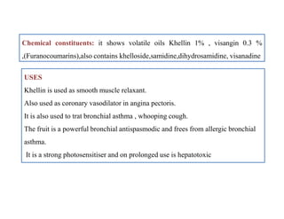Chemical constituents: it shows volatile oils Khellin 1% , visangin 0.3 %
,(Furanocoumarins),also contains khelloside,samidine,dihydrosamidine, visanadine
USES
Khellin is used as smooth muscle relaxant.
Also used as coronary vasodilator in angina pectoris.
It is also used to trat bronchial asthma , whooping cough.
The fruit is a powerful bronchial antispasmodic and frees from allergic bronchial
asthma.
It is a strong photosensitiser and on prolonged use is hepatotoxic
USES
Khellin is used as smooth muscle relaxant.
Also used as coronary vasodilator in angina pectoris.
It is also used to trat bronchial asthma , whooping cough.
The fruit is a powerful bronchial antispasmodic and frees from allergic bronchial
asthma.
It is a strong photosensitiser and on prolonged use is hepatotoxic
 