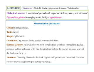 LIQUORICE
Biological source: It consists of peeled and unpeeled stolons, roots, and stems of
Glycyrrhiza glabra belonging to the family Leguminosae
Synonyms : Mulethi, Radix glycyrrhizae, Licorice, Yashtimadhu
Macroscopical characters
Odour:Characteristics.
Taste:Sweet
Shape:Cylindrical.
Condition:Dry, occurs in the peeled or unpeeled form.
Surface (Outer):Yellowish brown with longitudinal wrinkles (unpeeled); peeled
ones are yellow coloured with fine longitudinal ridges. In case of stolons, scars of
the buds can be seen.
Fracture: Coarsely fibrous in the bark region and splintery in the wood; fractured
surface shows long fibres projecting outwards.
Macroscopical characters
Odour:Characteristics.
Taste:Sweet
Shape:Cylindrical.
Condition:Dry, occurs in the peeled or unpeeled form.
Surface (Outer):Yellowish brown with longitudinal wrinkles (unpeeled); peeled
ones are yellow coloured with fine longitudinal ridges. In case of stolons, scars of
the buds can be seen.
Fracture: Coarsely fibrous in the bark region and splintery in the wood; fractured
surface shows long fibres projecting outwards.
 