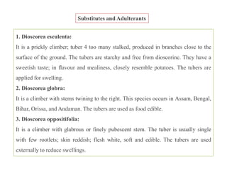 Substitutes and Adulterants
1. Dioscorea esculenta:
It is a prickly climber; tuber 4 too many stalked, produced in branches close to the
surface of the ground. The tubers are starchy and free from dioscorine. They have a
sweetish taste; in flavour and mealiness, closely resemble potatoes. The tubers are
applied for swelling.
2. Dioscorea globra:
It is a climber with stems twining to the right. This species occurs in Assam, Bengal,
Bihar, Orissa, and Andaman. The tubers are used as food edible.
3. Dioscorea oppositifolia:
It is a climber with glabrous or finely pubescent stem. The tuber is usually single
with few rootlets; skin reddish; flesh white, soft and edible. The tubers are used
externally to reduce swellings.
1. Dioscorea esculenta:
It is a prickly climber; tuber 4 too many stalked, produced in branches close to the
surface of the ground. The tubers are starchy and free from dioscorine. They have a
sweetish taste; in flavour and mealiness, closely resemble potatoes. The tubers are
applied for swelling.
2. Dioscorea globra:
It is a climber with stems twining to the right. This species occurs in Assam, Bengal,
Bihar, Orissa, and Andaman. The tubers are used as food edible.
3. Dioscorea oppositifolia:
It is a climber with glabrous or finely pubescent stem. The tuber is usually single
with few rootlets; skin reddish; flesh white, soft and edible. The tubers are used
externally to reduce swellings.
 
