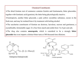 Chemical Constituents
The dried Gentian root of commerce contains Gentiin and Gentiamarin, bitter glucosides,
together with Gentianic acid (gentisin), the latter being physiologically inactive.
Gentiopicrin, another bitter glucoside, a pale yellow crystalline substance, occurs in the
fresh root, and may be isolated from it by treatment with boiling alcohol.
The saccharine constituents of Gentian are dextrose, laevulose, sucrose and gentianose, a
crystallizable, fermentable sugar. It is free from starch and yields from 3 to 4 per cent ash.
The drug also contains amarogenin, which is considerd to be a strongly bitter
glucoside that even imparts a distinct bitter taste at 580 thousand time dilutions.
Chemical Constituents
The dried Gentian root of commerce contains Gentiin and Gentiamarin, bitter glucosides,
together with Gentianic acid (gentisin), the latter being physiologically inactive.
Gentiopicrin, another bitter glucoside, a pale yellow crystalline substance, occurs in the
fresh root, and may be isolated from it by treatment with boiling alcohol.
The saccharine constituents of Gentian are dextrose, laevulose, sucrose and gentianose, a
crystallizable, fermentable sugar. It is free from starch and yields from 3 to 4 per cent ash.
The drug also contains amarogenin, which is considerd to be a strongly bitter
glucoside that even imparts a distinct bitter taste at 580 thousand time dilutions.
 