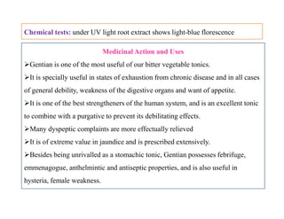 Medicinal Action and Uses
Gentian is one of the most useful of our bitter vegetable tonics.
It is specially useful in states of exhaustion from chronic disease and in all cases
of general debility, weakness of the digestive organs and want of appetite.
It is one of the best strengtheners of the human system, and is an excellent tonic
to combine with a purgative to prevent its debilitating effects.
Many dyspeptic complaints are more effectually relieved
It is of extreme value in jaundice and is prescribed extensively.
Besides being unrivalled as a stomachic tonic, Gentian possesses febrifuge,
emmenagogue, anthelmintic and antiseptic properties, and is also useful in
hysteria, female weakness.
Chemical tests: under UV light root extract shows light-blue florescence
Medicinal Action and Uses
Gentian is one of the most useful of our bitter vegetable tonics.
It is specially useful in states of exhaustion from chronic disease and in all cases
of general debility, weakness of the digestive organs and want of appetite.
It is one of the best strengtheners of the human system, and is an excellent tonic
to combine with a purgative to prevent its debilitating effects.
Many dyspeptic complaints are more effectually relieved
It is of extreme value in jaundice and is prescribed extensively.
Besides being unrivalled as a stomachic tonic, Gentian possesses febrifuge,
emmenagogue, anthelmintic and antiseptic properties, and is also useful in
hysteria, female weakness.
 