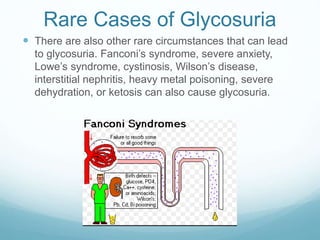 Rare Cases of Glycosuria
 There are also other rare circumstances that can lead
to glycosuria. Fanconi’s syndrome, severe anxiety,
Lowe’s syndrome, cystinosis, Wilson’s disease,
interstitial nephritis, heavy metal poisoning, severe
dehydration, or ketosis can also cause glycosuria.
 